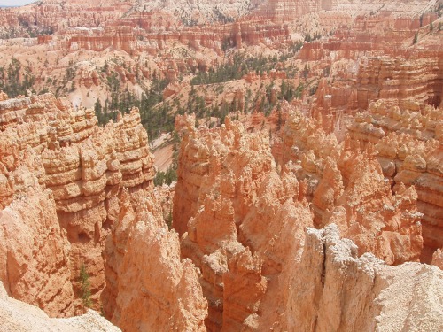 Fotoexpedice národní parky USA, západ 5.-18.6.2015